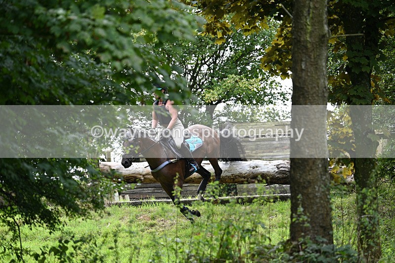 WJ7_8134 - Time 14:11 to 14:30