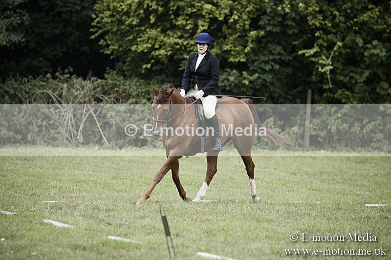 BVR090918 128 - BVRC Dressage and Show Jumping 09/09/18