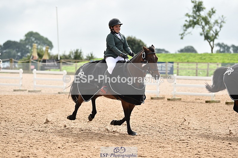 230902A-120824-00936 - Cls 2B Pony Small 80cm