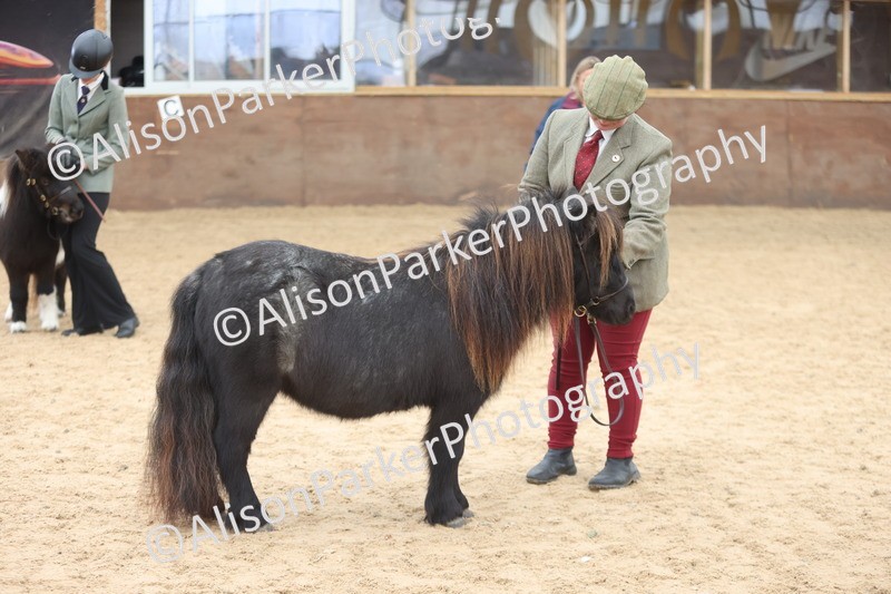 20251109-0242 - Class 11 - 2 and 3 Year Old