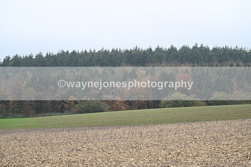 WJ7_8866 - Camera 1 only on this line