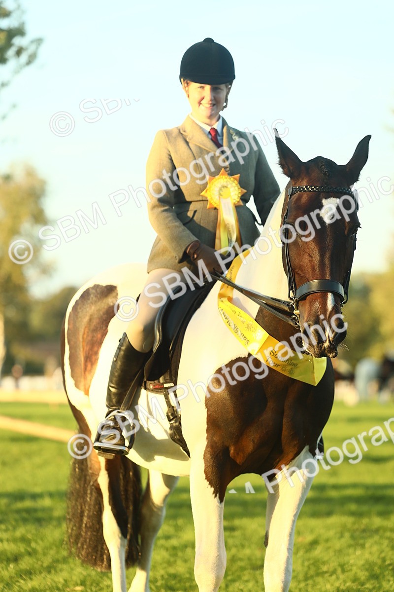 SBM_56523 - S14 - Riding Club Horse