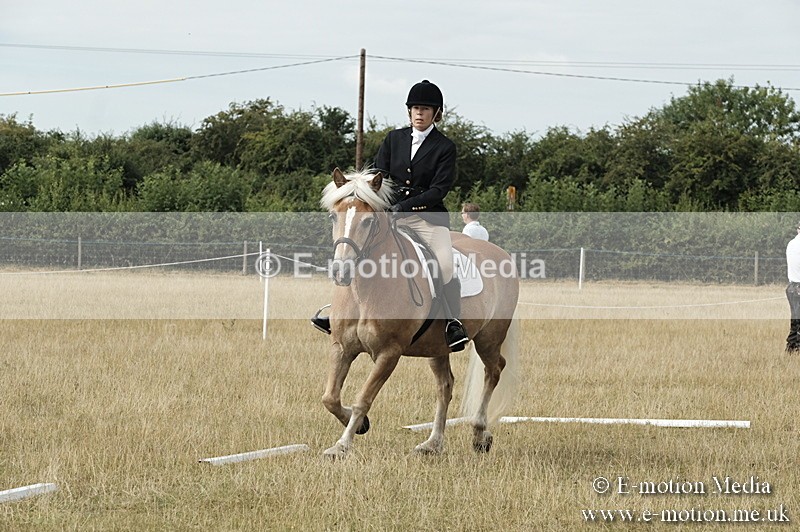 _PJP5725 - Dressage Classes BVRC Show 2018
