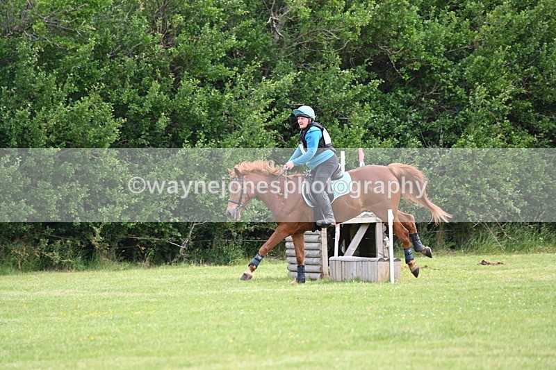 WJ6_2230 - Class 2 40cm