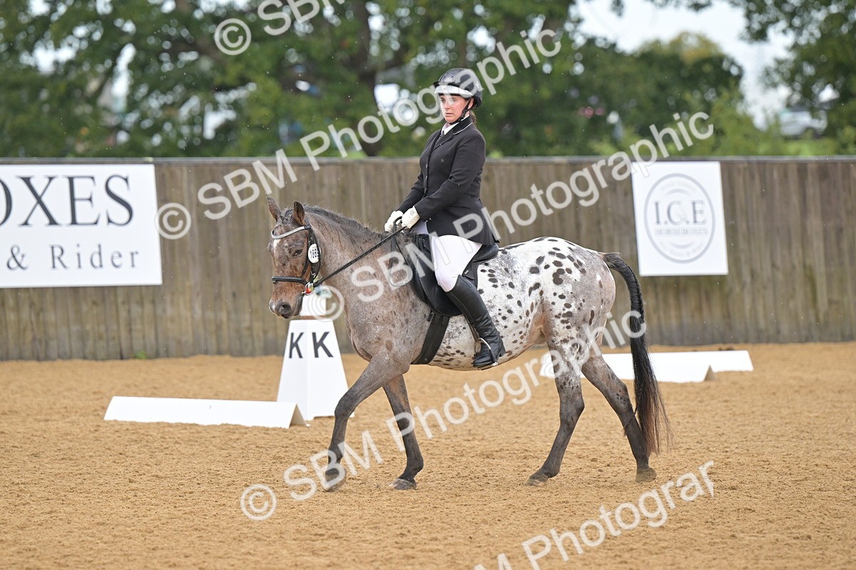SBM_00510 - D2 - Small Tour Championship Intro 2