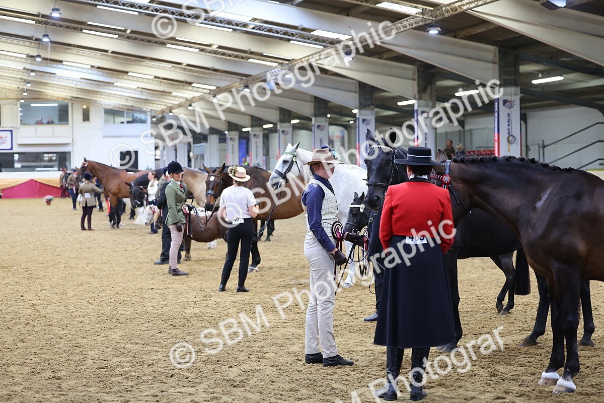 SBM_21184 - Class 902 - Supreme Final IH Veteran