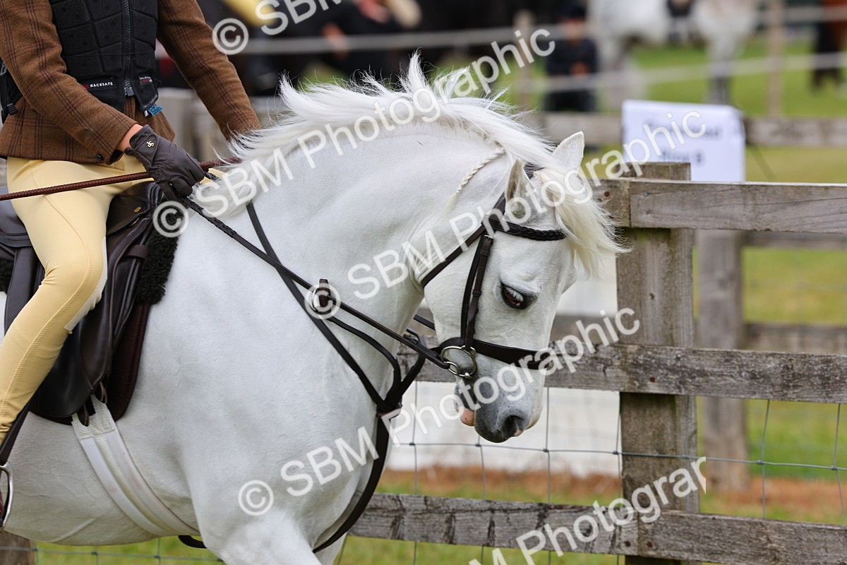 SBM_08468 - Class 42-43 - LIHS BSPS Heritage Working Sports Pony