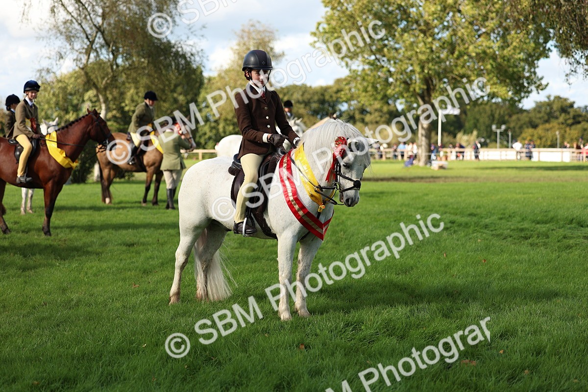 SBM_46388 - Working Hunter Pony Supreme Championship