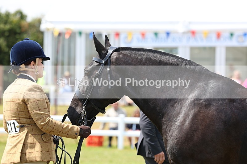 3E7A2170 - Class 10: Open Cob