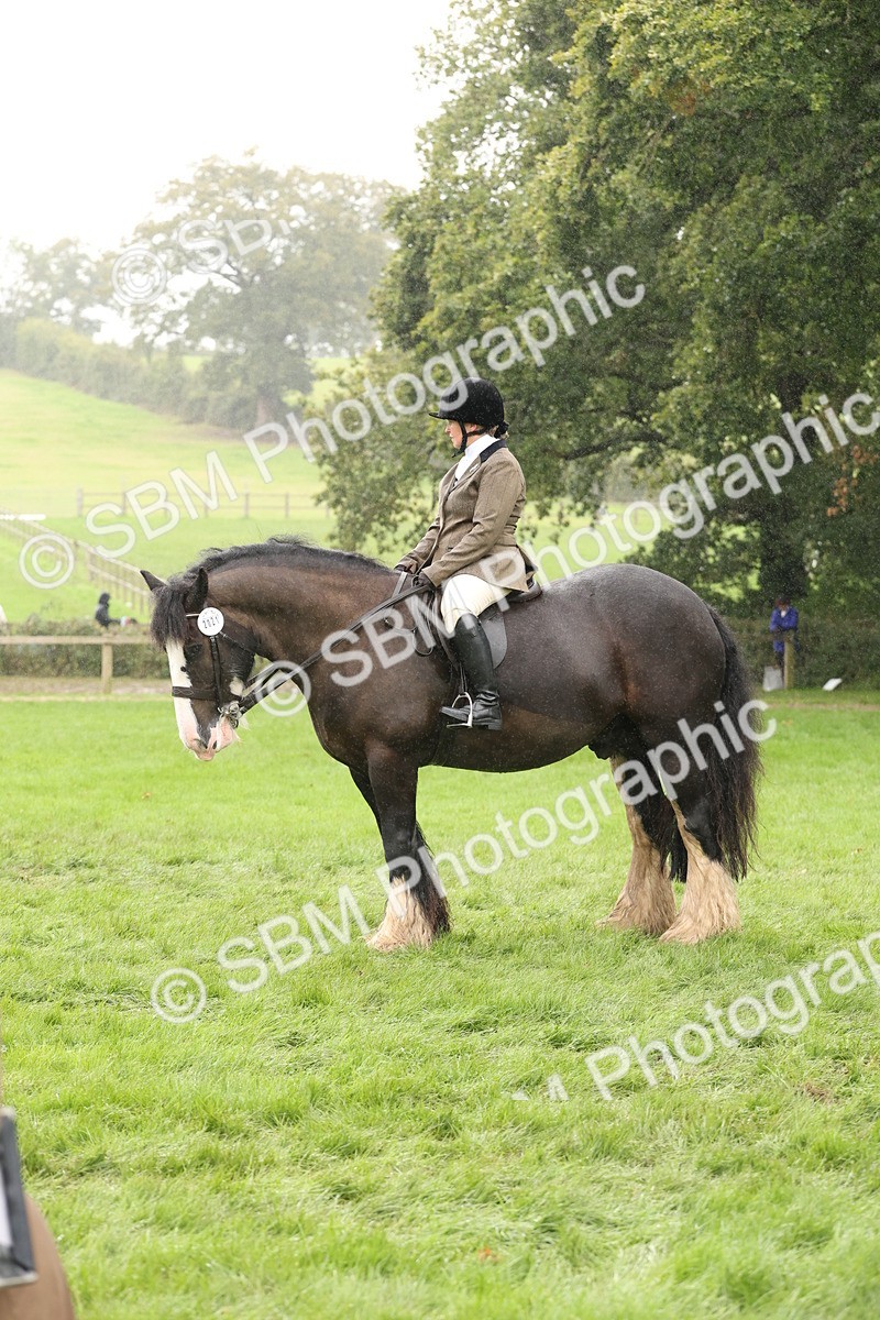 SBM_69841 - S69 - Show Cob Ridden