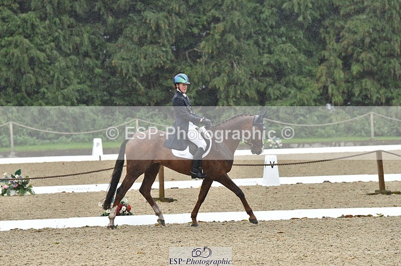 231018-143638-00606 - 002-CHILLI.BILL-Alicia.Wilkinson-DR