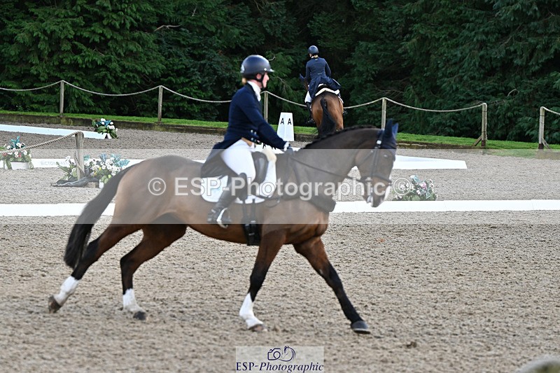 241023-151853-00513 - 109-Amber.Williams-THE.EMERALD.LILY