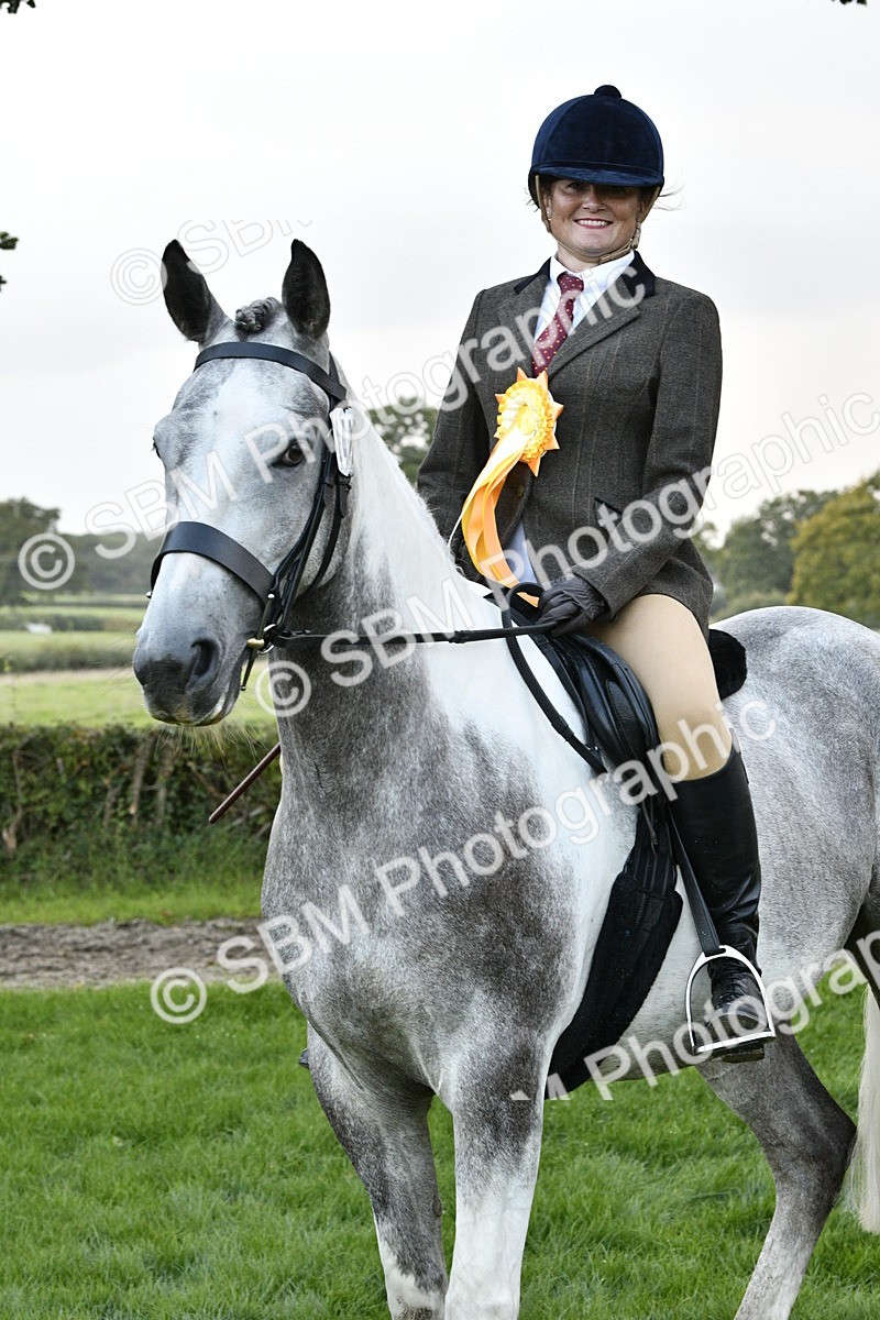 SBM_53631 - S14 - Riding Club Horse