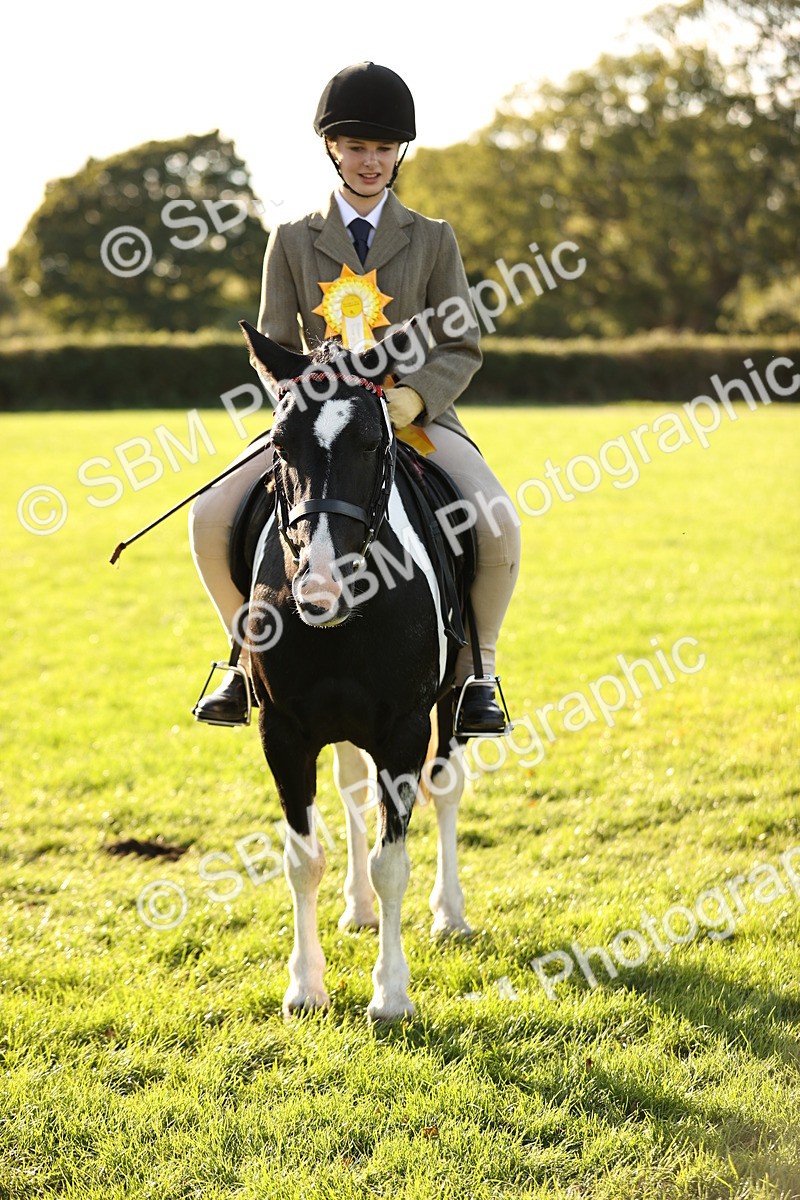 SBM_29506 - S7 - Novice & Newcomers Ridden Pony