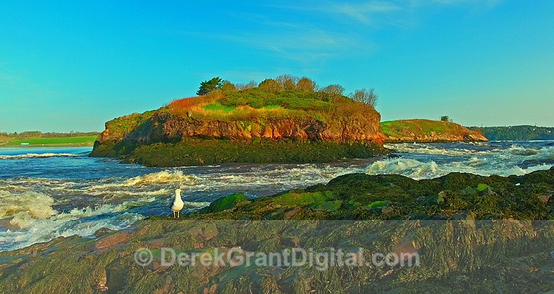 Reversing Rapids Reversing Falls Saint John New Brunswick Canada - Reversing Rapids