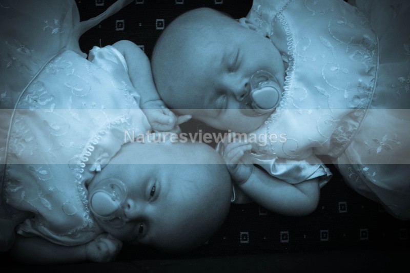 Babies - Weddings