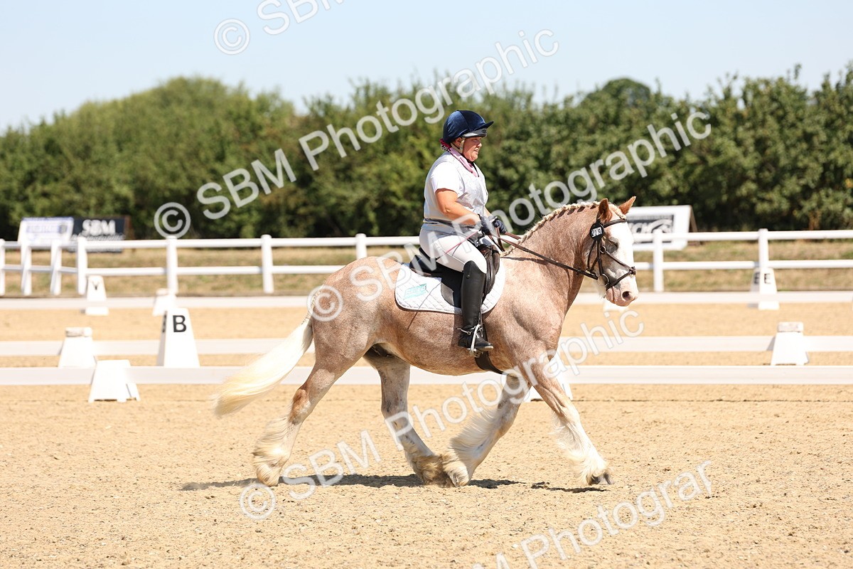 SBM_001272 - Intro 2