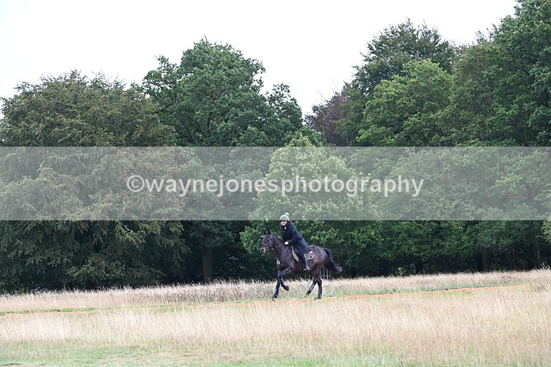 DSC_2718 - Time at Statue 12:34 to 12:56