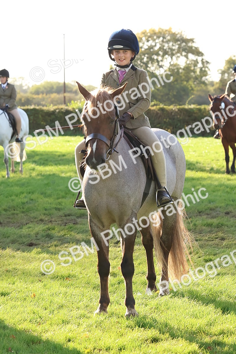 SBM_52652 - S13 - Pony Club Pony