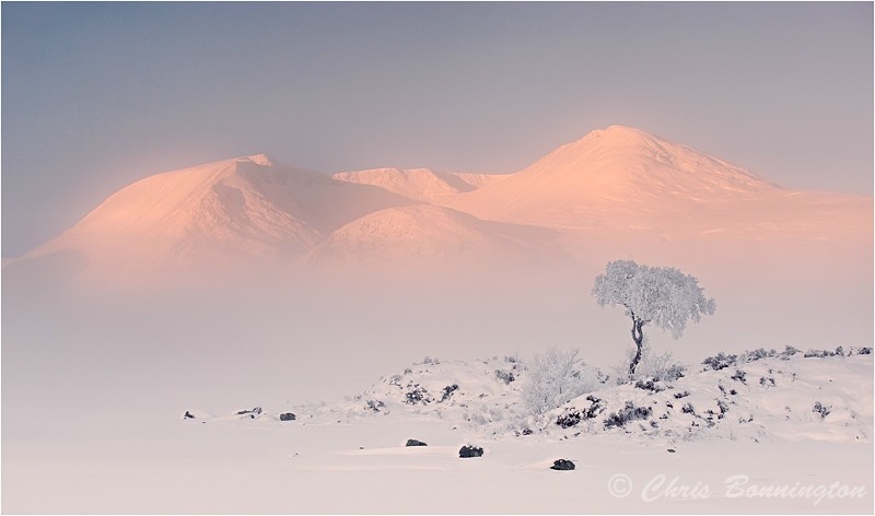 Frosty Rannoch - Landscapes - Colour