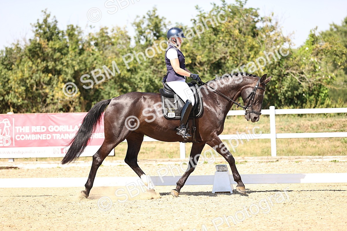 SBM_005548 - Elementary 4 Warm Up
