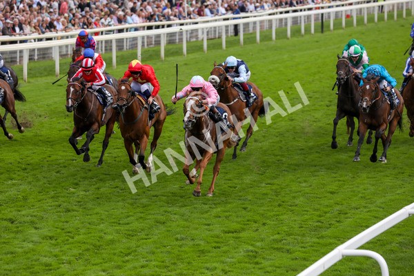 250823-Race 4-Live In The Dream-5874 - Race 4 3.35pm Coolmore Wootton Bassett Nunthorpe Stakes