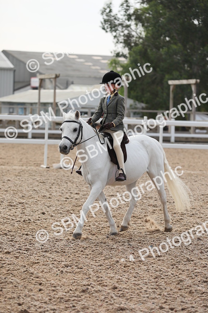SBM_09660 - Class 301 Ridden M&M -Small Breeds
