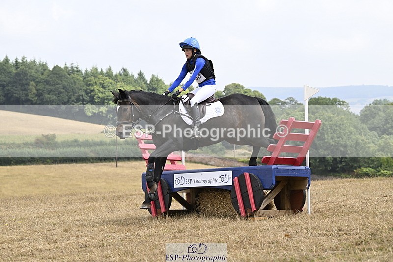 250824A-125822-36578 - 2053-Ava.Sampson-Chameleon