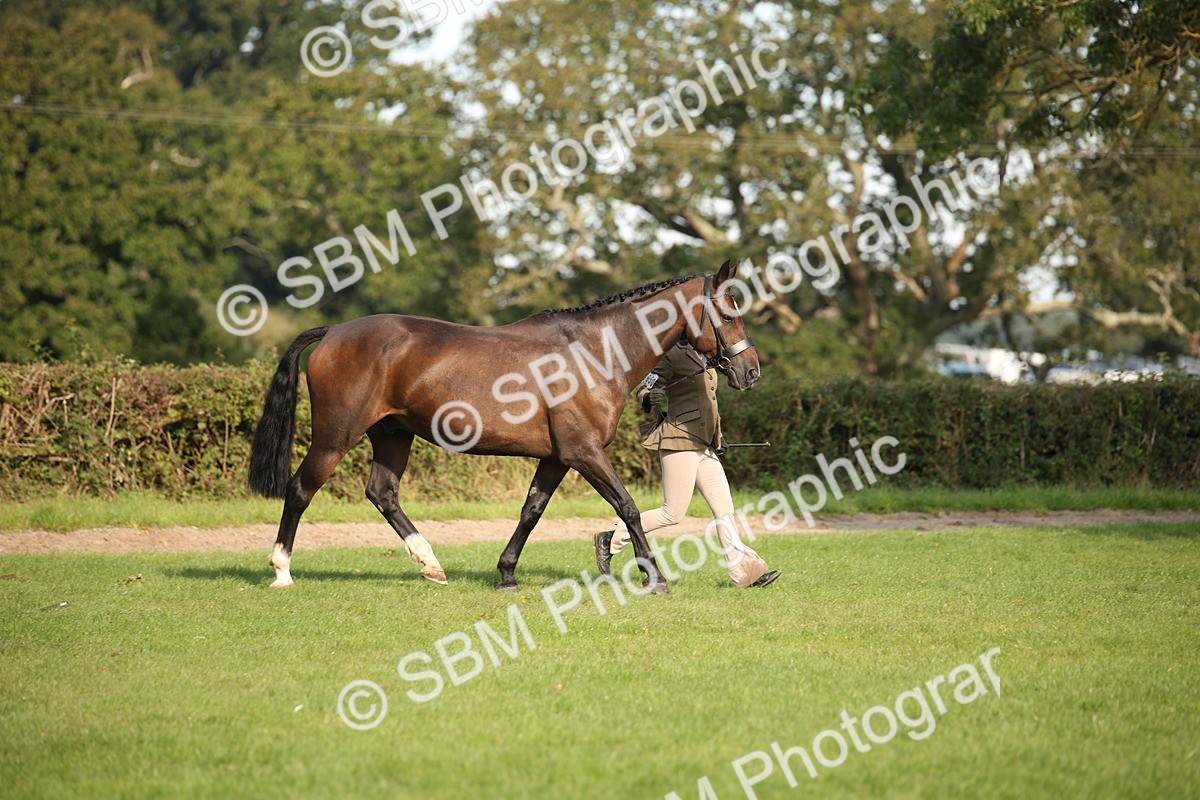 SBM_60054 - S53 - Hunter In Hand