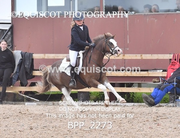 BPP_2273 - DERBY CLASS 6 - 70CM