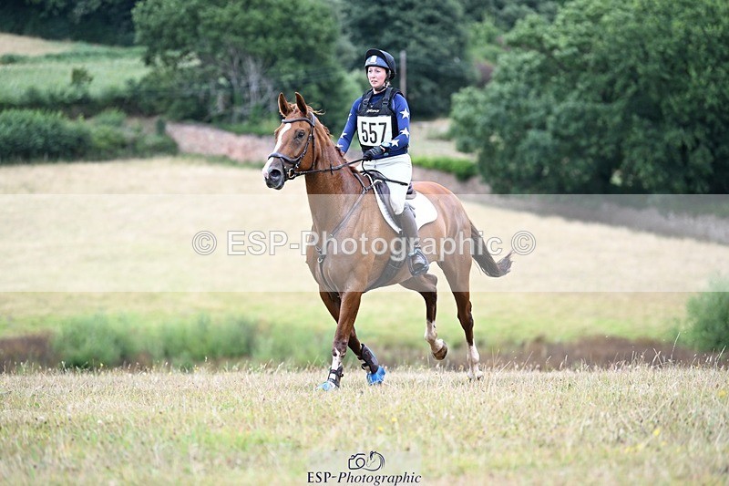 250803A-124346-13290 - M-557-Heidi.Allen-COMIC.WANDA