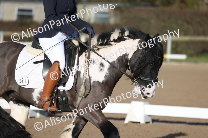 20260128-0055 - Class 2 - Prelim 5