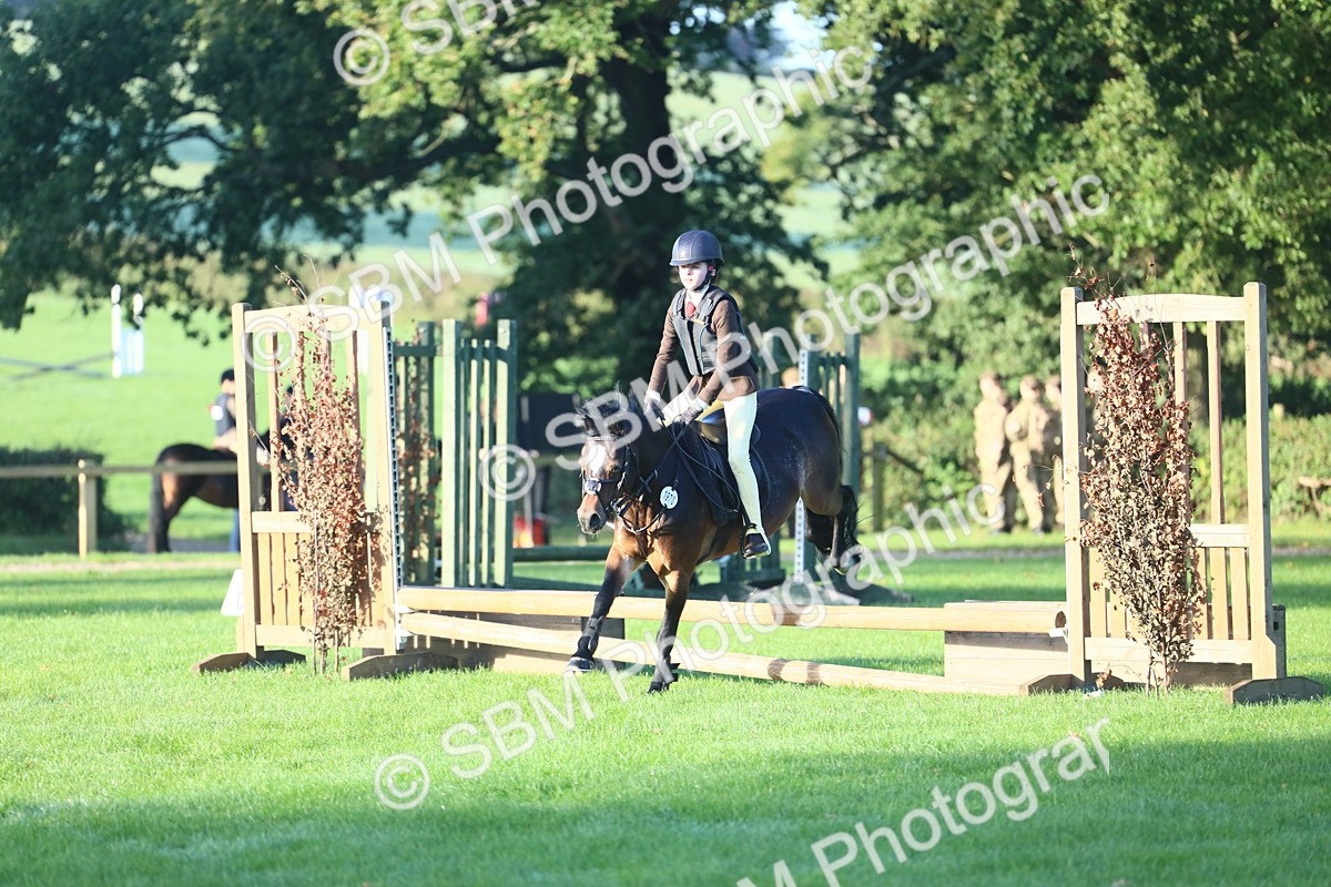 SBM_31882 - S28 - Nursery Stakes Working Hunter Pony
