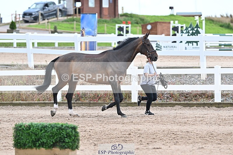240717A-143153-02112 - Trot Up 2pm to 3pm - This folder is not in time order