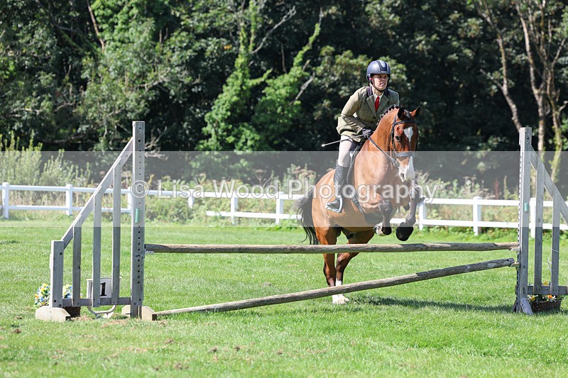 3E7A8538 - Class 5: Working Show Horse