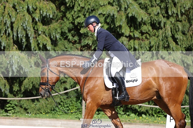 230526-172145-07961 - 177-ARGENTINO_BK-Dani_Evans-WEDTrotUp+DR