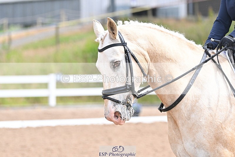 240623A-102048-16485 - Cls 45 BD Prelim 19