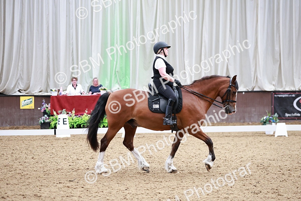 SBM_014365 - Class 7 - Ele FSM Bronze  13.24.14.04