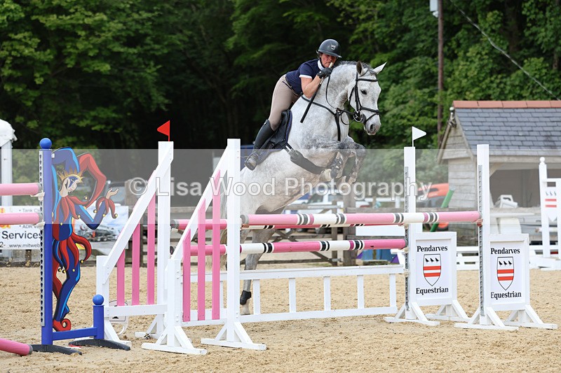 3E7A7567 - Class 8: Senior Foxhunter/1.20 open