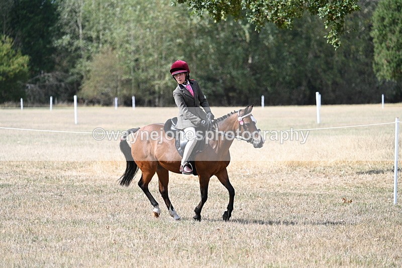 WJ7_6206 - Class 13 Ridden Veterans