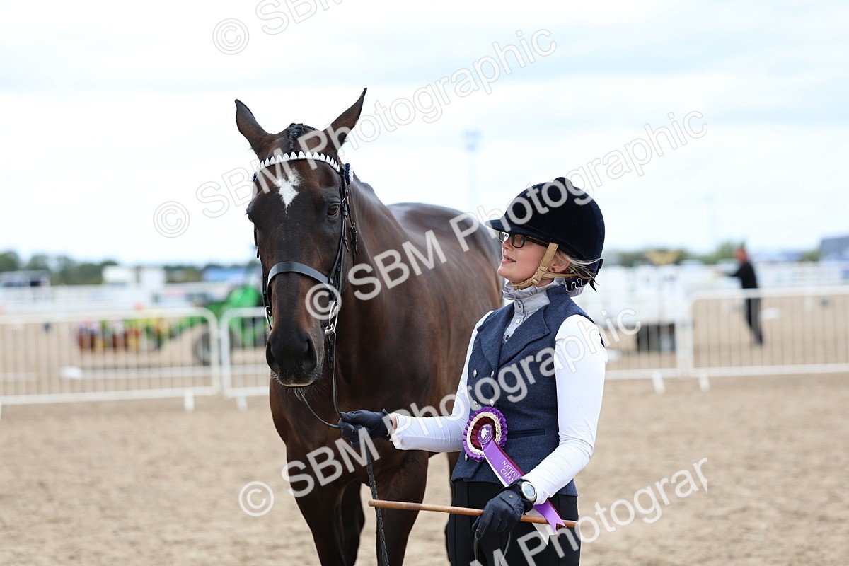 SBM_05803 - Class 28 - IH Veteran Horse