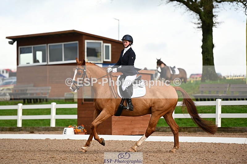 240218A-130402-07399 - 203-Ashley.Edmond-Sir.Suave.II