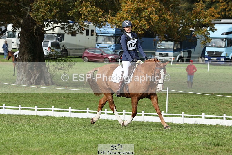 251024A-134758-12666 - H-654-Philippa.Skelton