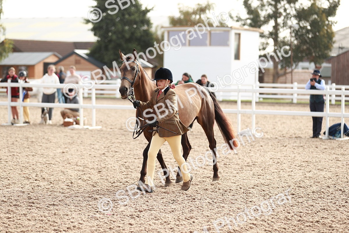 SBM_10576 - Class 204 Young Handler, 11-16 years