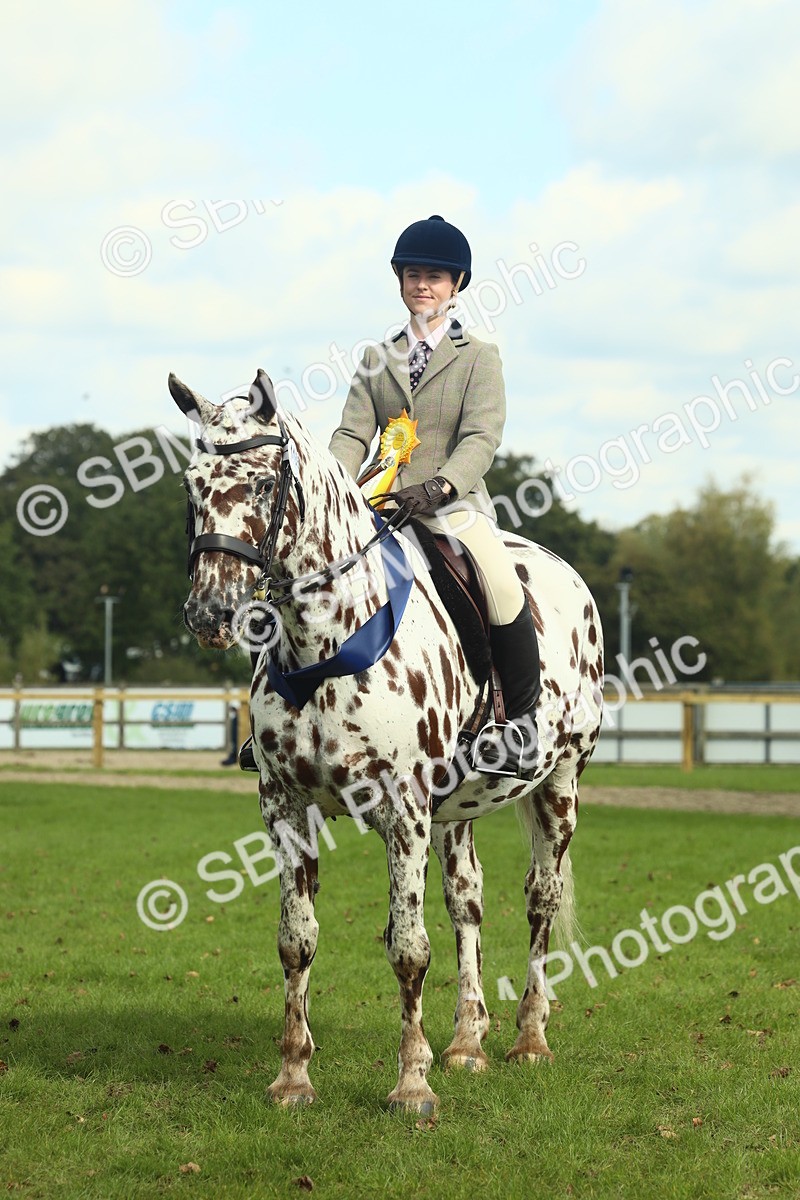 SBM_62535 - S62 - Foreign Breeds Ridden