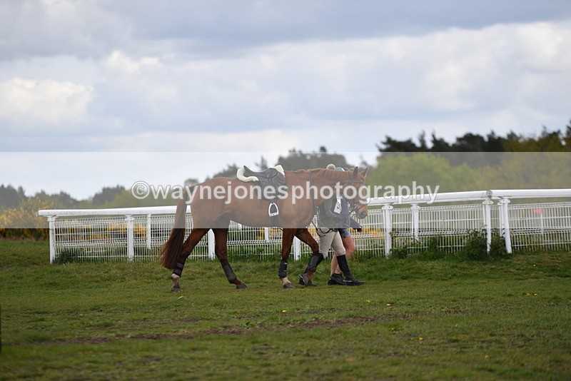 WJ5_2932 - Time 13:55 to 14:19