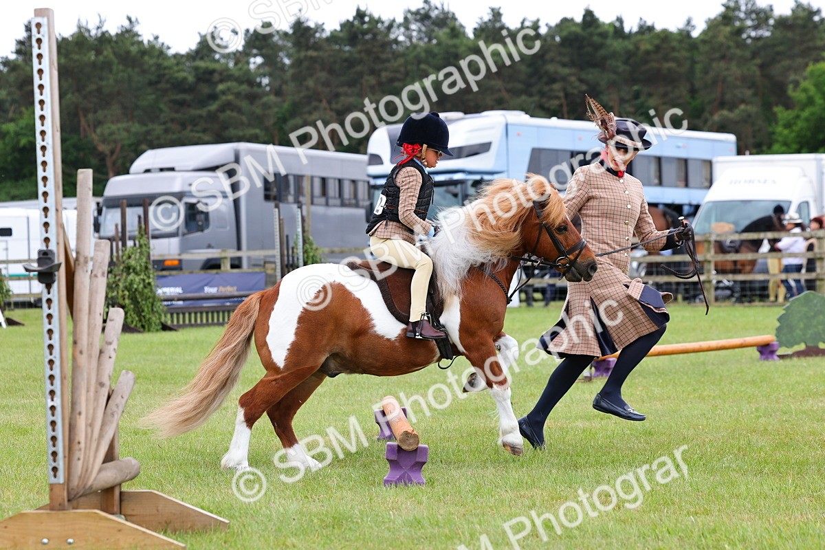 SBM_08240 - Class 42-43 - LIHS BSPS Heritage Working Sports Pony