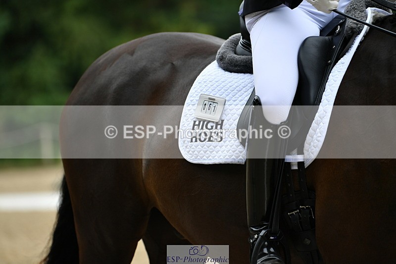 250718A-103608-00199 - 061-Louise.Christie-High.Hoes.Dandelion