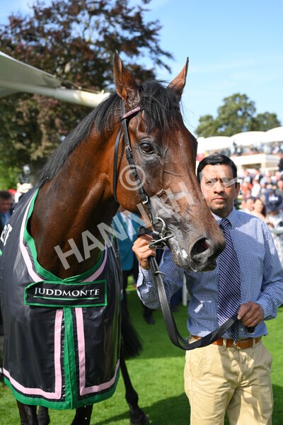 yr18082021r4-160 - Race 4 3.35pm Juddmonte International Stakes (British Champion Series race)