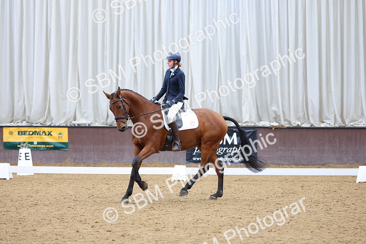 SBM_003141 - Novice